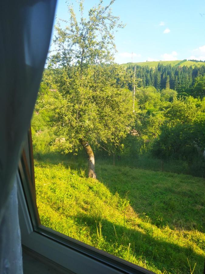 Starovitska Hata - Ethno-Cottage Verkhovyna Extérieur photo