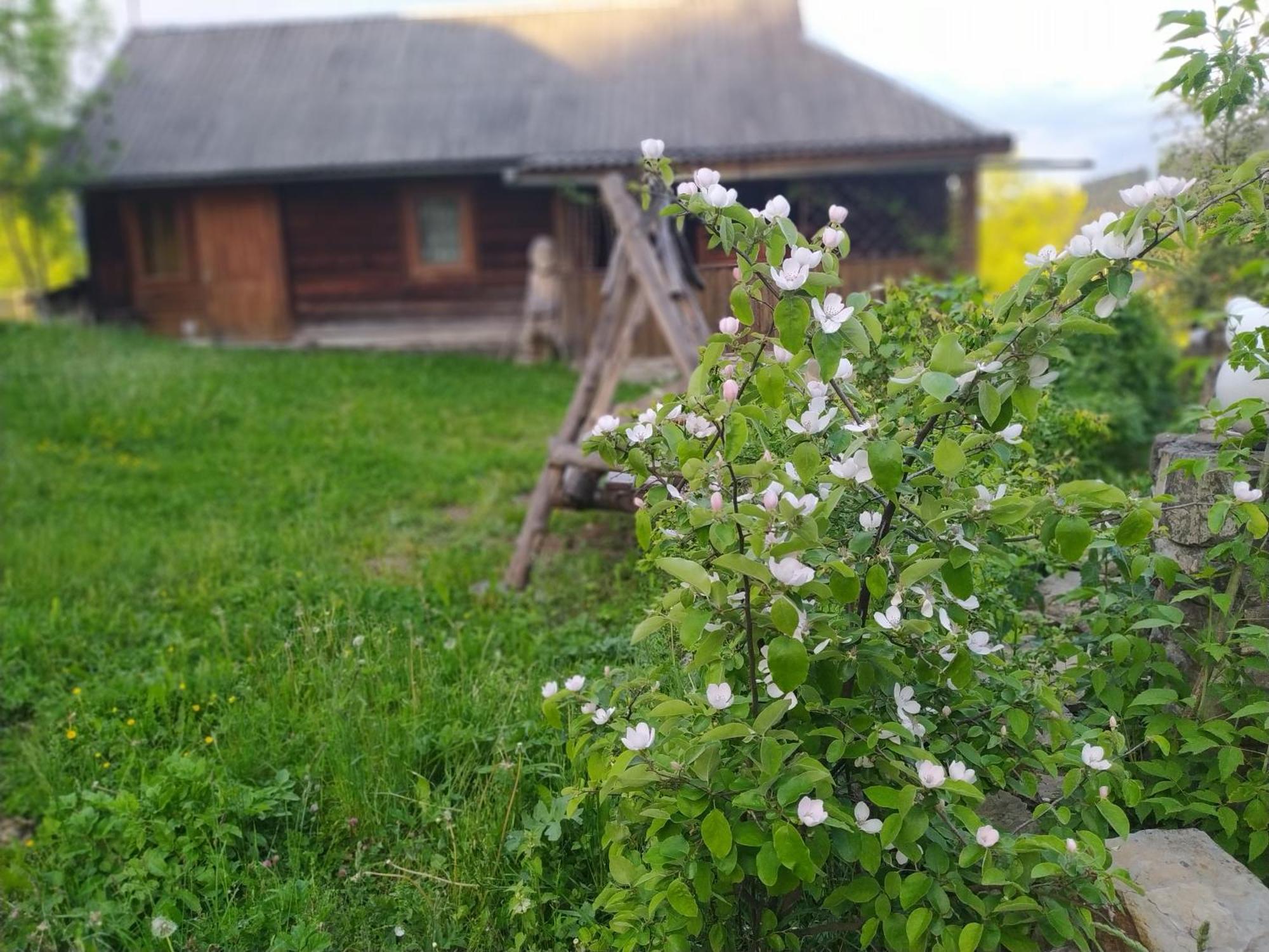 Starovitska Hata - Ethno-Cottage Verkhovyna Extérieur photo
