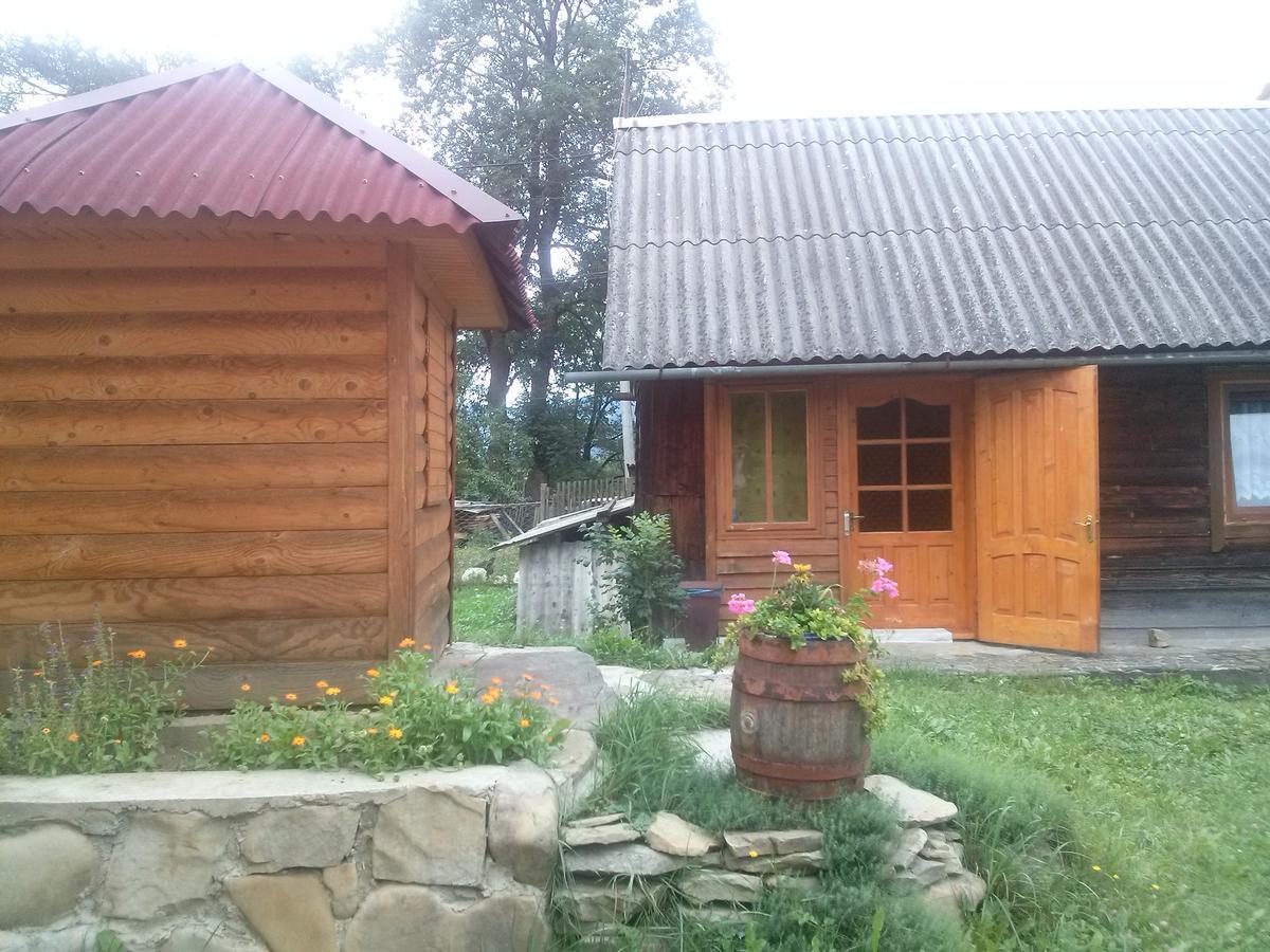 Starovitska Hata - Ethno-Cottage Verkhovyna Extérieur photo
